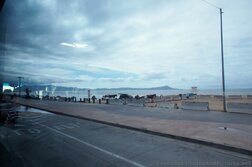 Horses on the beach in Ensenada.jpg