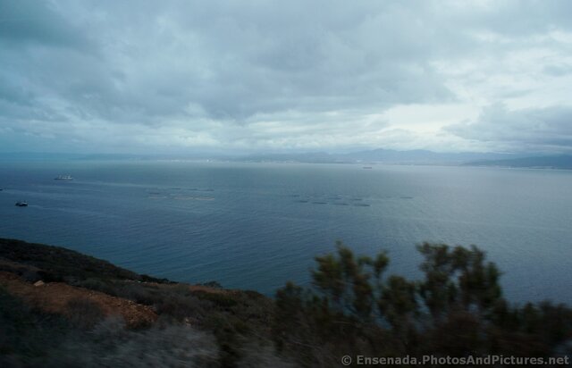Oval seafood farming rings in Bahia Todos Santos.jpg