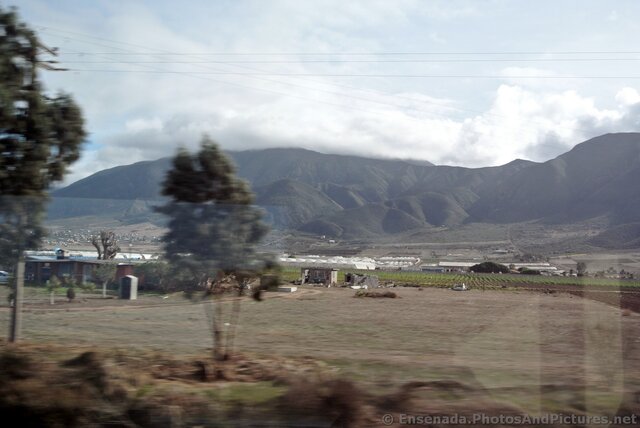 Green Hills of Ensenada.jpg