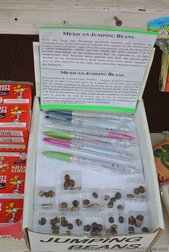 Mexican Jumping Beans for sale at La Bufadora Marketplace.jpg