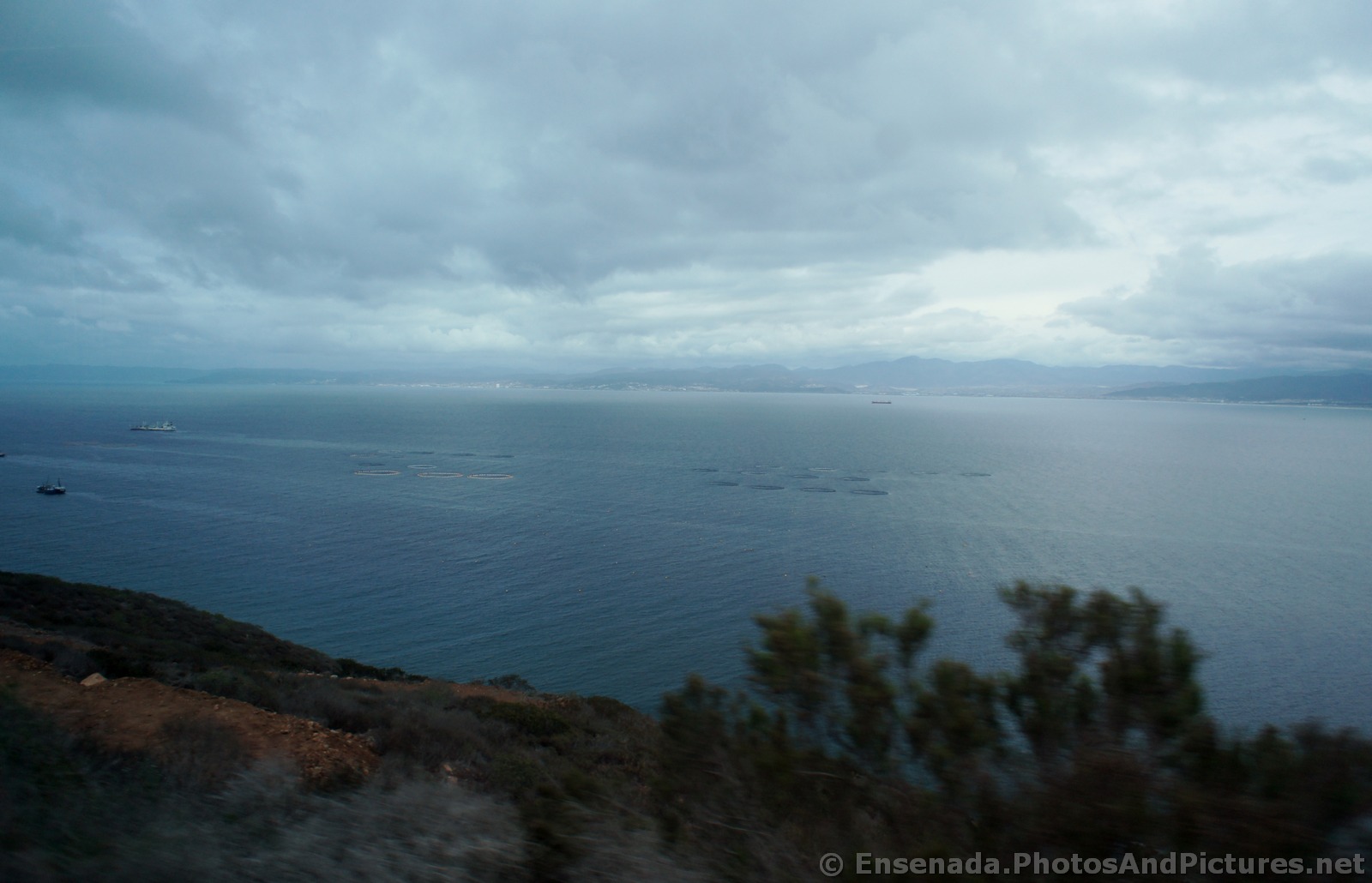 Oval seafood farming rings in Bahia Todos Santos.jpg