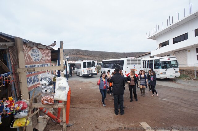 Tourists arriving to La Bufadora.jpg