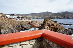 Bird at La Bufadora.jpg