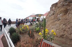 Cactus garden at La Bufadora.jpg