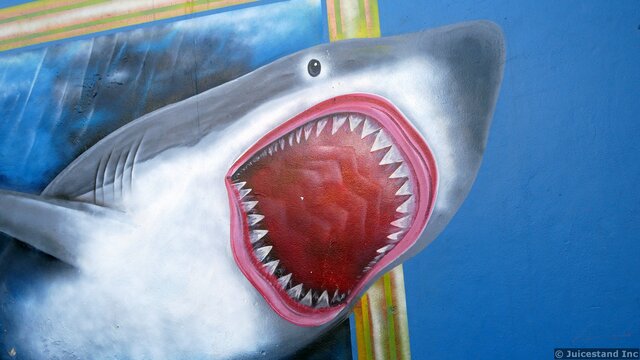 Shark Art at Ensenada Fish Market