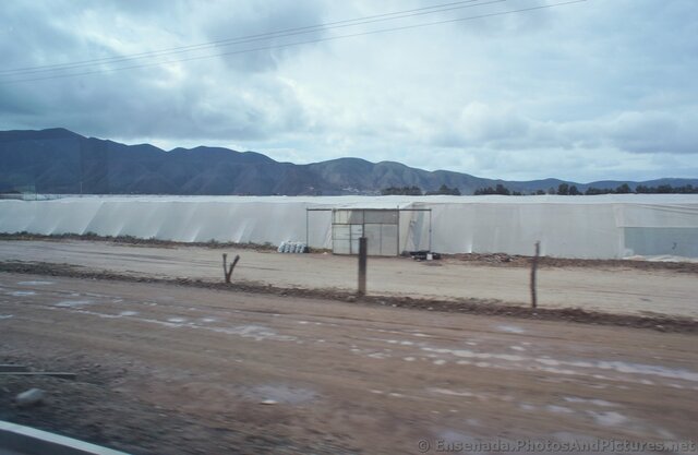 Green House in Ensenada.jpg
